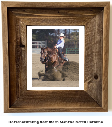 horseback riding near me in Monroe, North Carolina